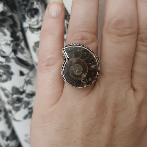 New Ammonite Fossil 925 Silver Ring. - Picture 3 of 8